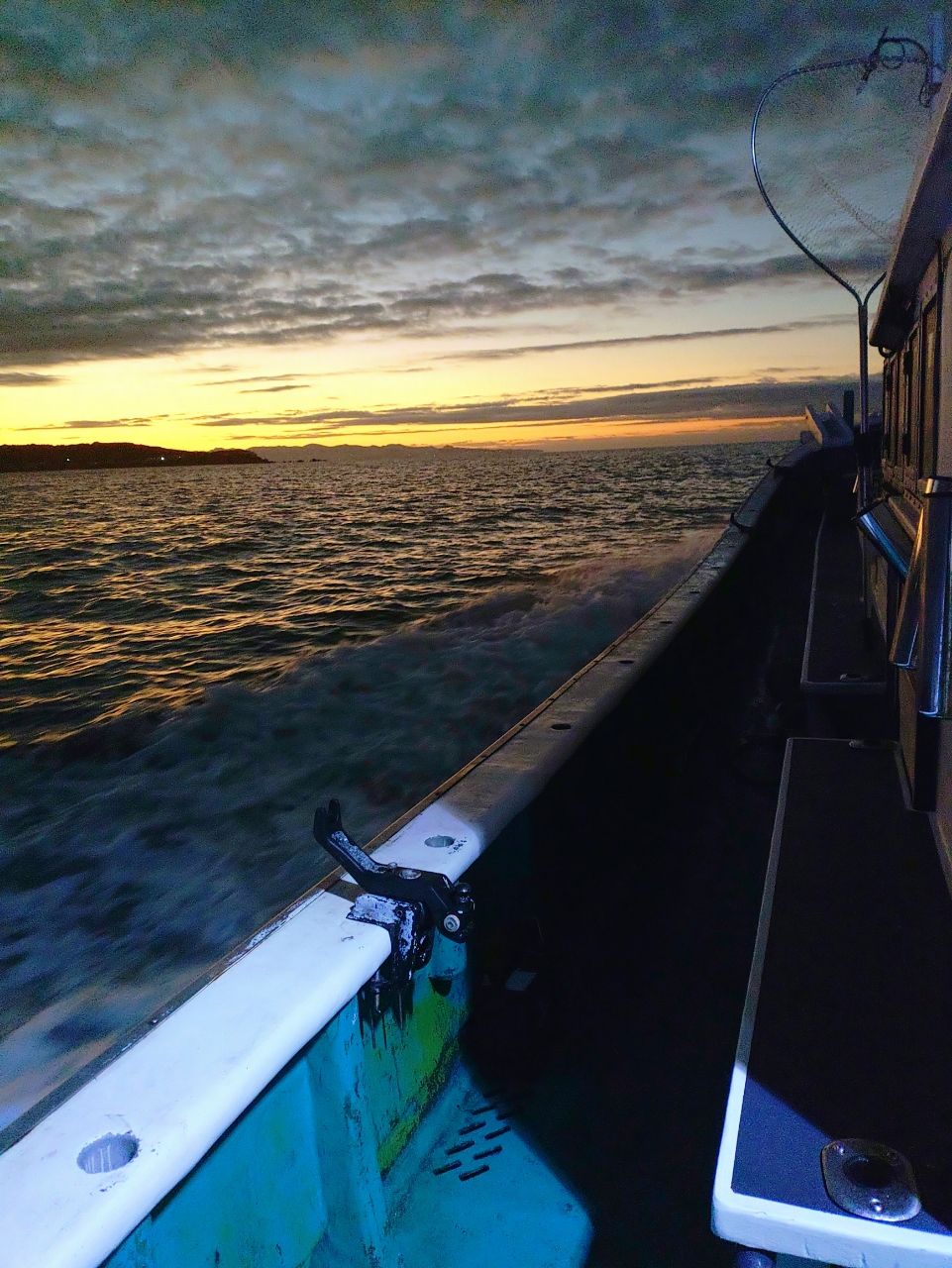 Devilrayさんの釣果 3枚目の画像