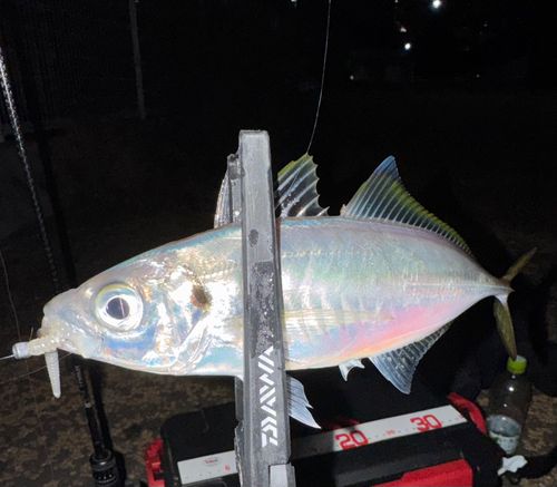 大黒ふ頭西緑地