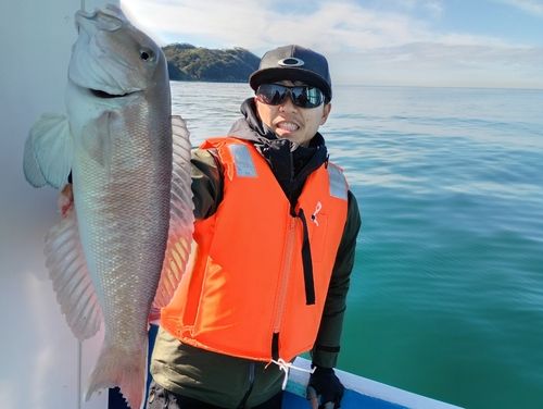 アマダイの釣果
