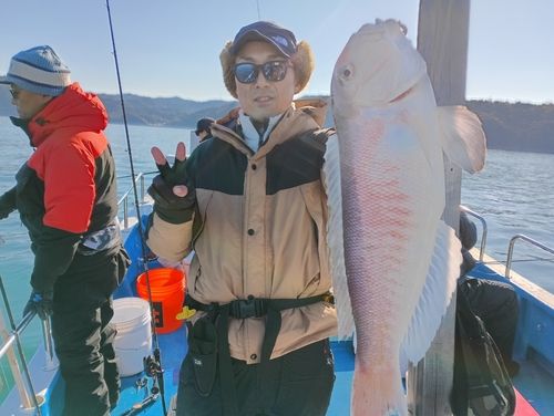 アマダイの釣果