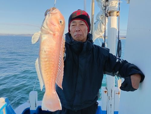 アマダイの釣果
