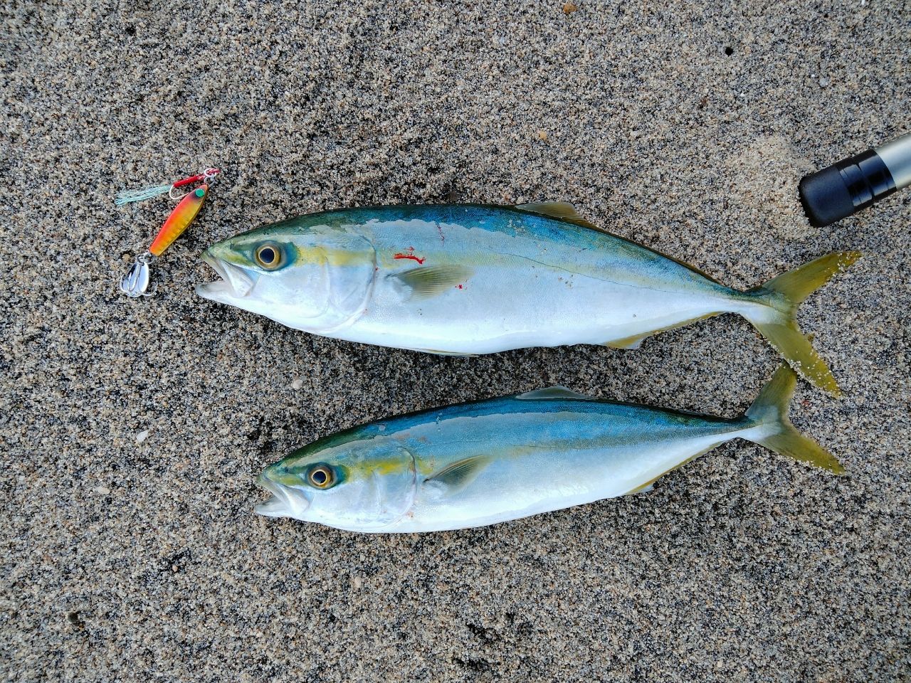 SHIMANO 20ルナミス S110Mの最安値・インプレ・釣果 | 本音の口コミが