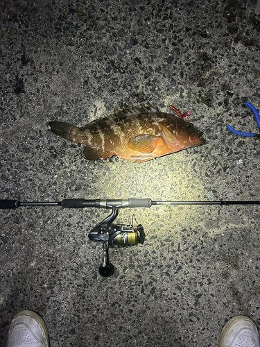 周防大島（屋代島）