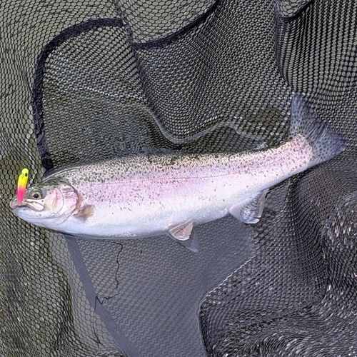 東山湖フィッシングエリア