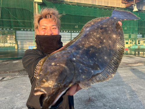 ヒラメの釣果