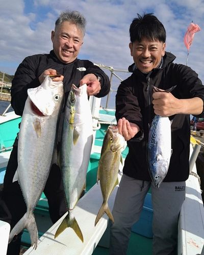 カンパチの釣果