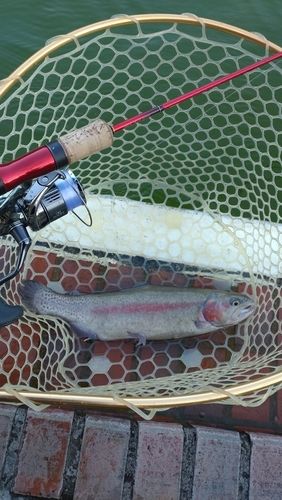 西武園ゆうえんちフィッシングランド