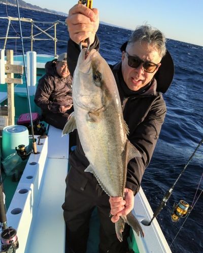 カンパチの釣果