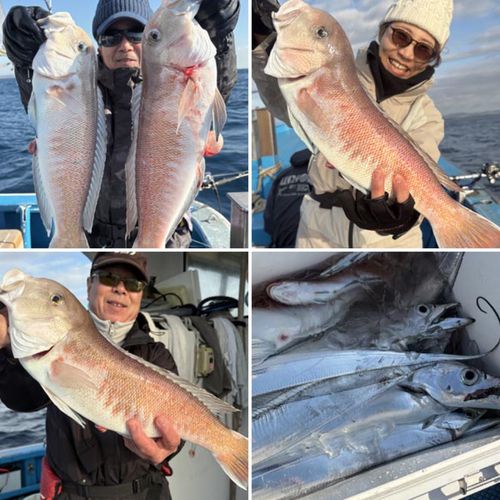 シロアマダイの釣果