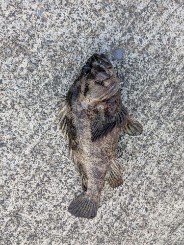 三陸海岸（岩手）