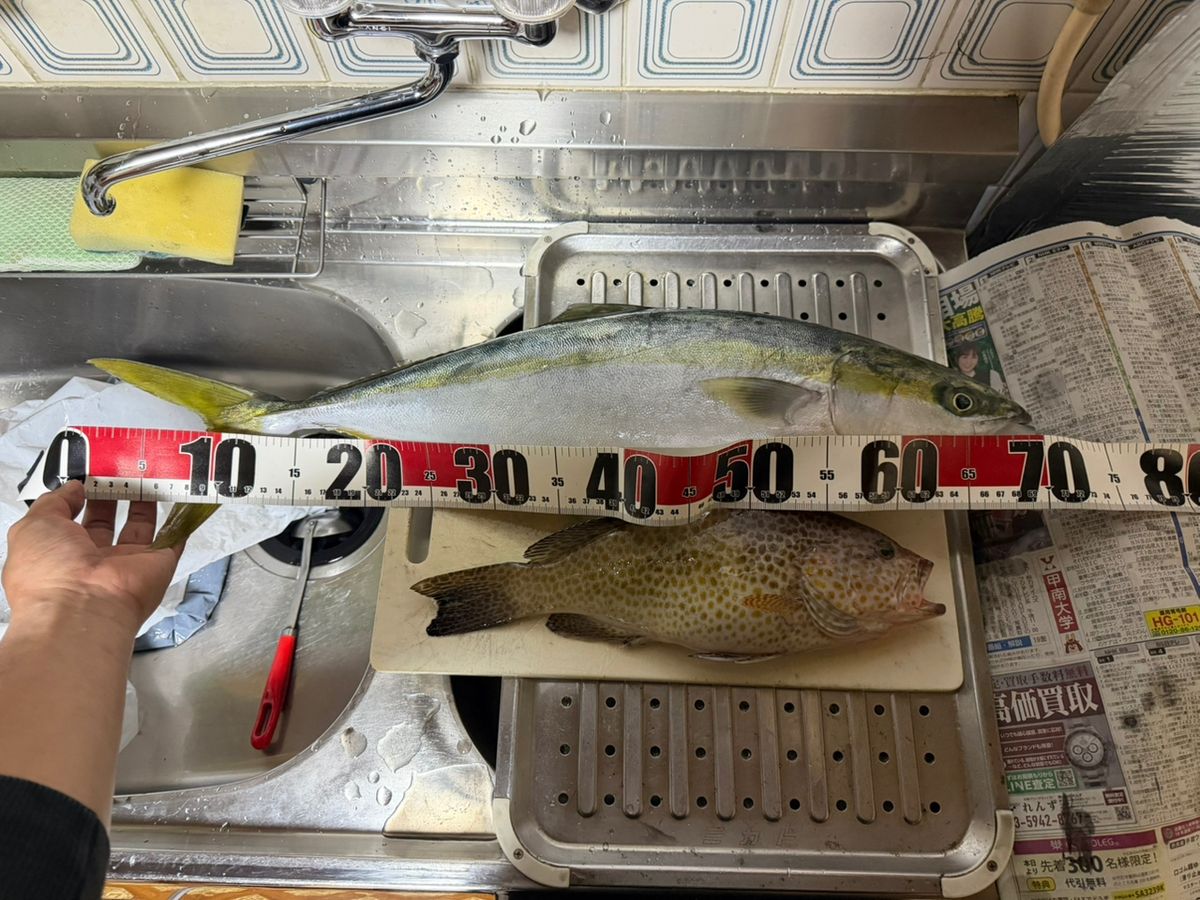 （YouTube）堺釣人🐟の爆釣chさんの釣果 2枚目の画像