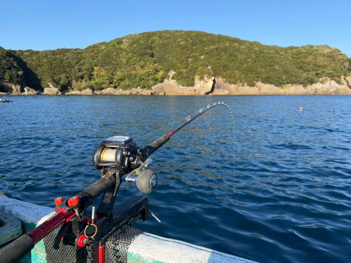 （YouTube）堺釣人🐟の爆釣chさんの釣果 3枚目の画像