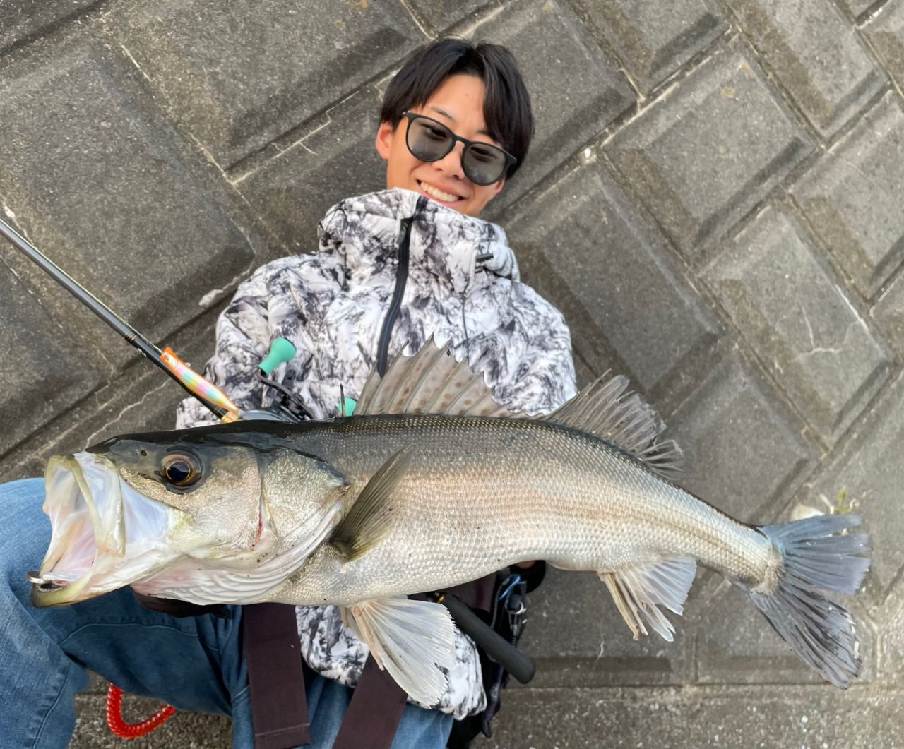 DAIWA 18ラテオ ボートシーバス 73HBの最安値・インプレ・釣果 | 本音