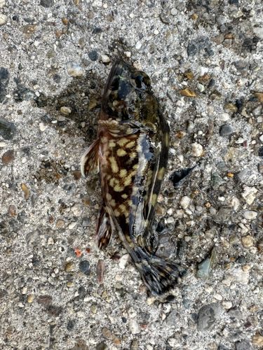 新舞子マリンパーク