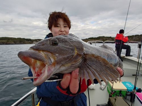 アイナメの釣果