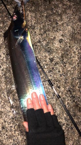 東京湾（アクアライン〜富津）