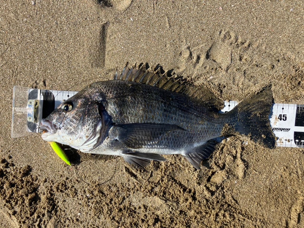 美品 22ネッサXR S110MMH シマノ（SHIMANO） ( 只今 欠品中 ) ☆シマノ 22 ネッサ XR S110M/MH