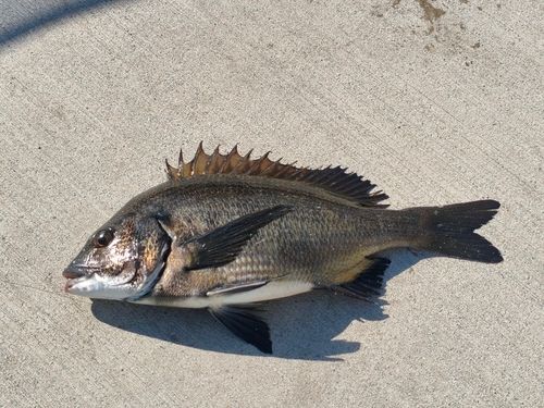 南芦屋浜ベランダ