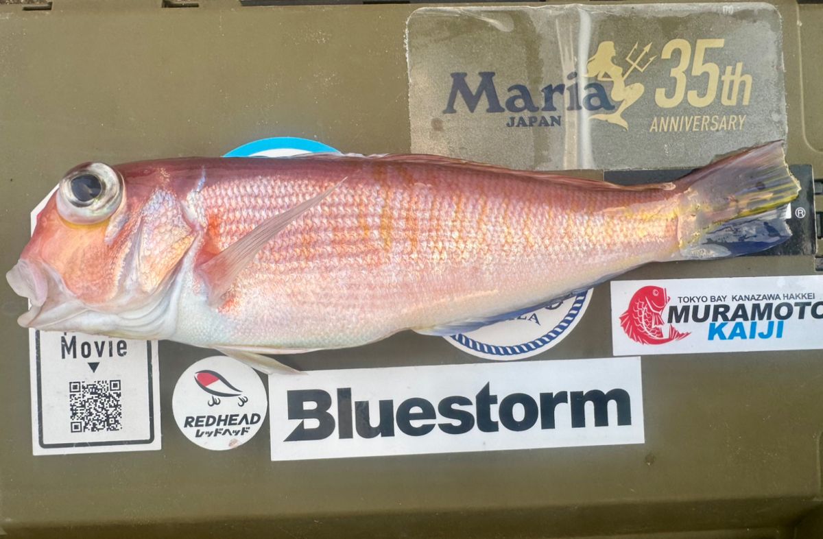 E-OSさんの釣果 1枚目の画像