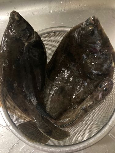 千葉港中央埠頭