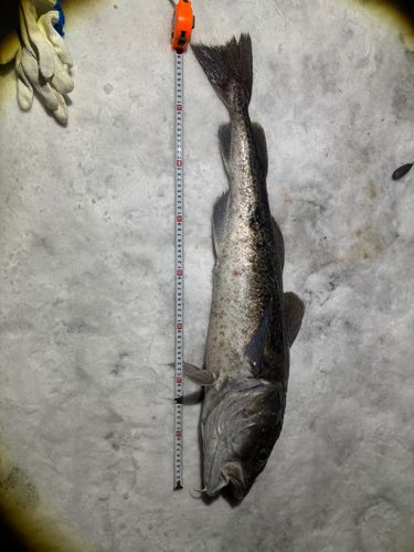 小樽港厩町岸壁