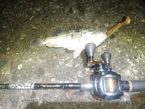 キラキラ公園（苫小牧西港）