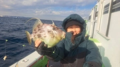 カワハギの釣果