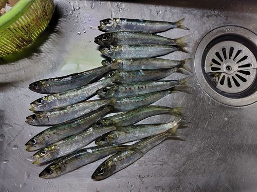 小名浜港アクアマリンふくしま周辺