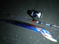 タチウオの釣果