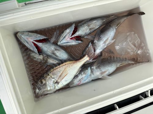 サザンビーチ付近