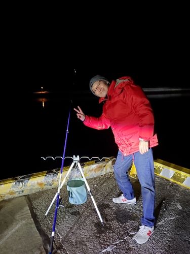 アゴハゼの釣果