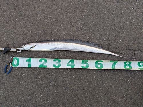 東京湾（アクアライン〜富津）