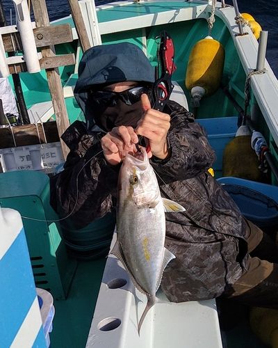 カンパチの釣果