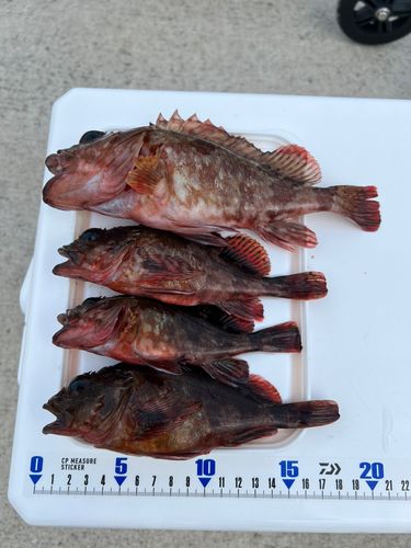 金沢水際線緑地（福浦岸壁）