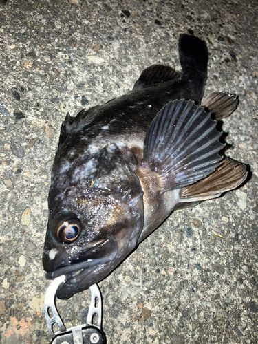 大野からくり記念館前