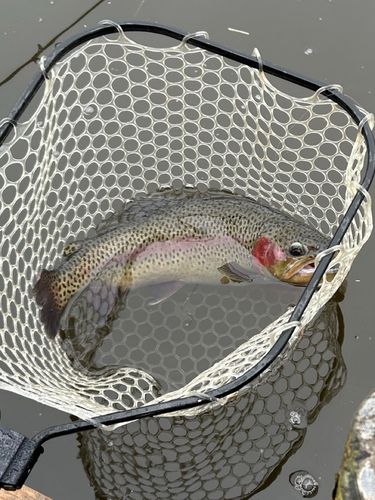 ウォルトンガーデン