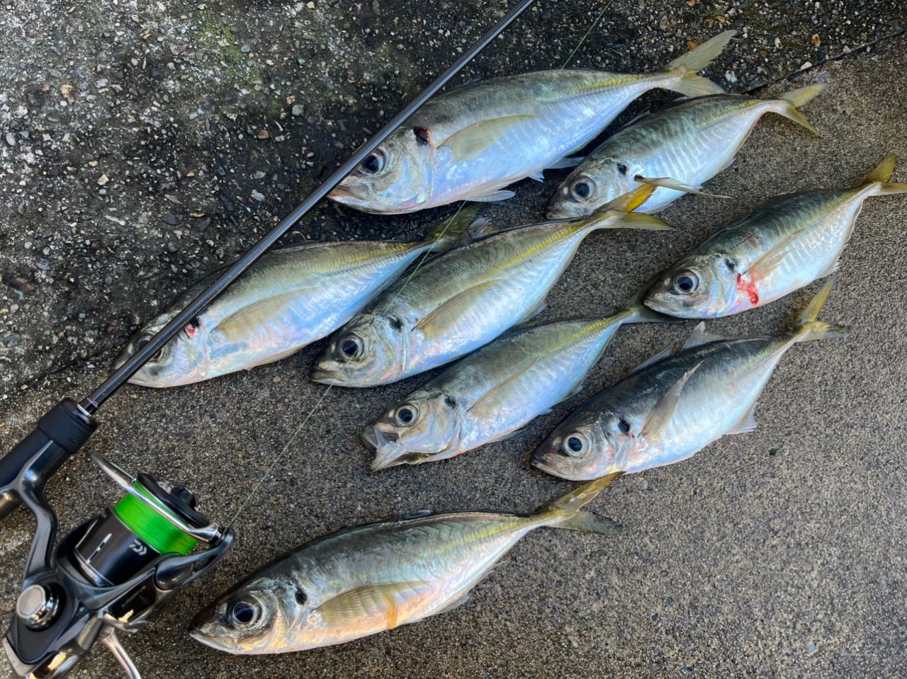 Gamakatsu ラグゼ 宵姫 華 弍 S69UL-solidの最安値・インプレ・釣果