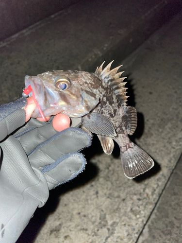 山の下海浜公園