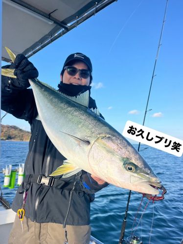 ブリの釣果