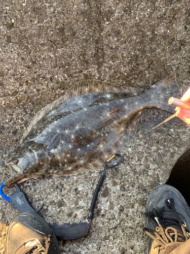 月見ヶ丘海浜公園