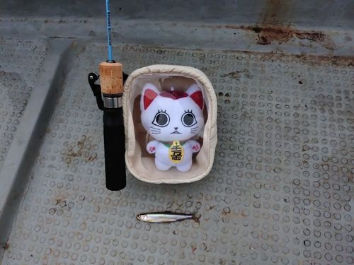 ワカサギの釣果