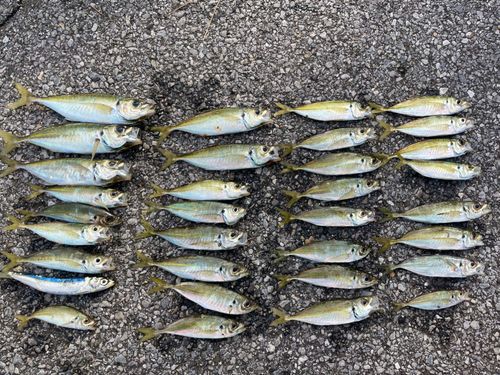 興津港海浜公園