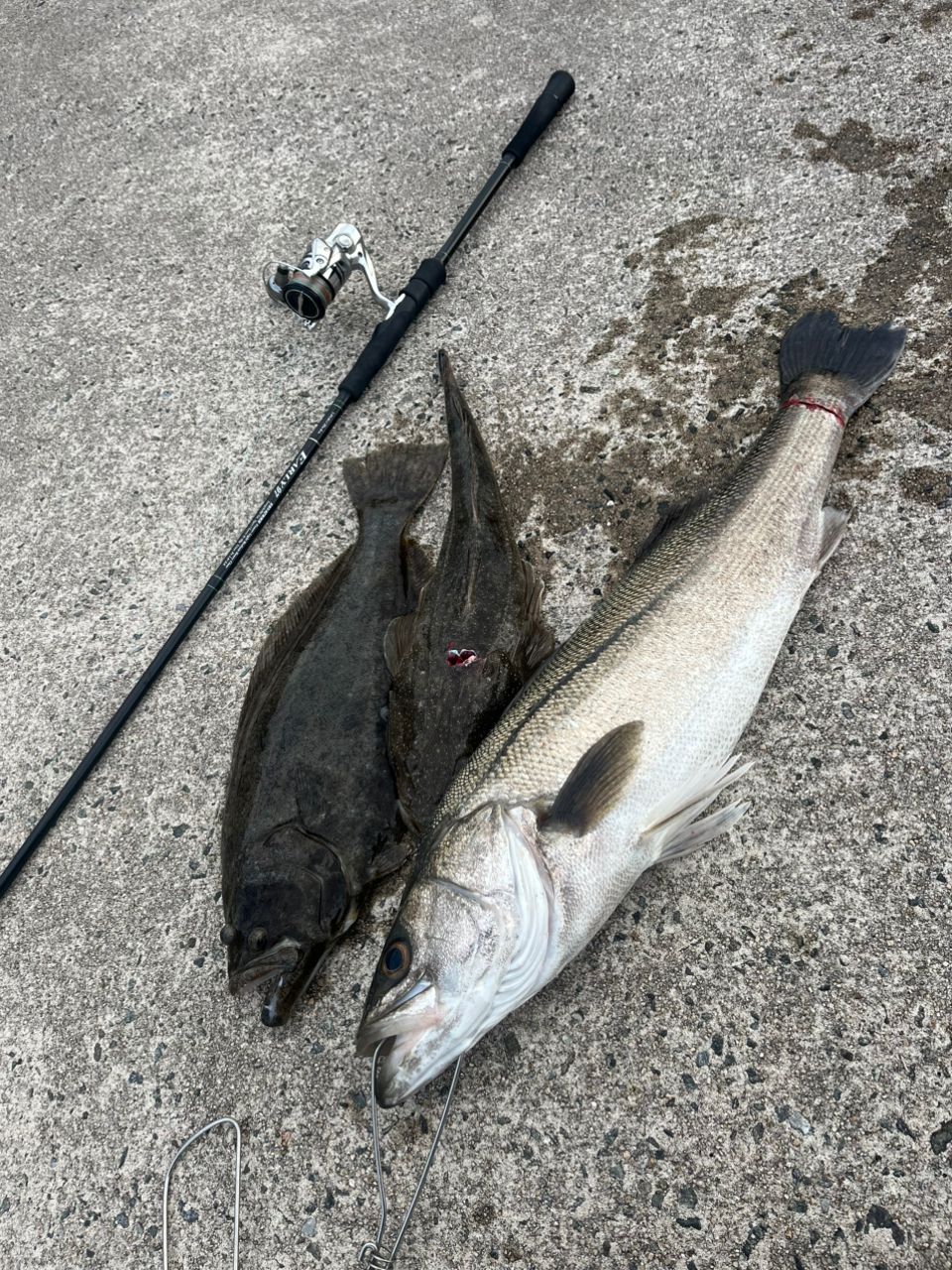 YAMAGA Blanks アーリー・フォーシーバス 97MMHの最安値・インプレ