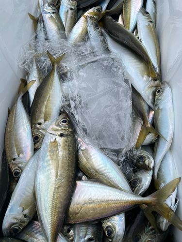 東京湾（アクアライン〜富津）