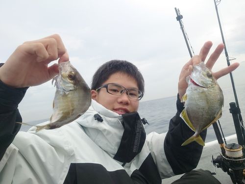 カイワリの釣果