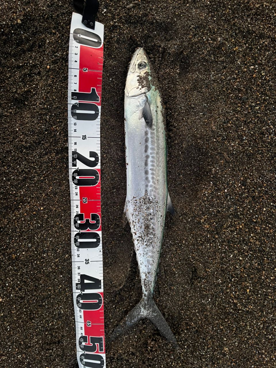 SHIMANO 22コルトスナイパーSS LSJ S100MLの最安値・インプレ・釣果