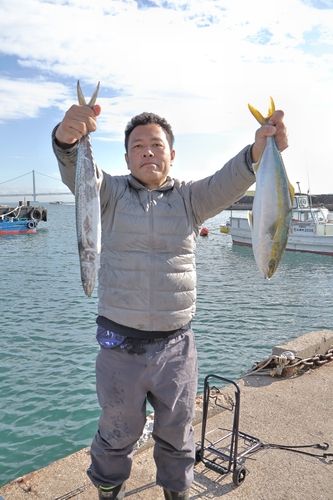 ハマチの釣果