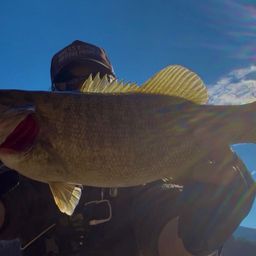 スモールマウスバス