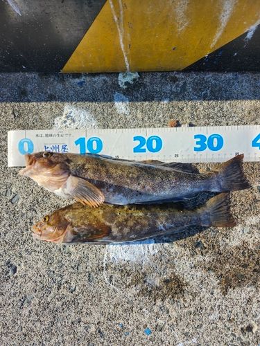 釣果