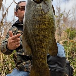 スモールマウスバス